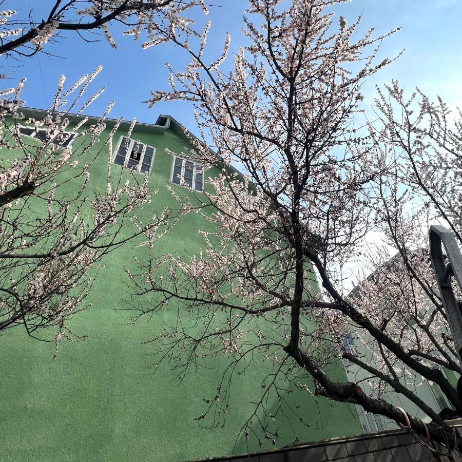 Abs Guest House 오쉬 외부 사진