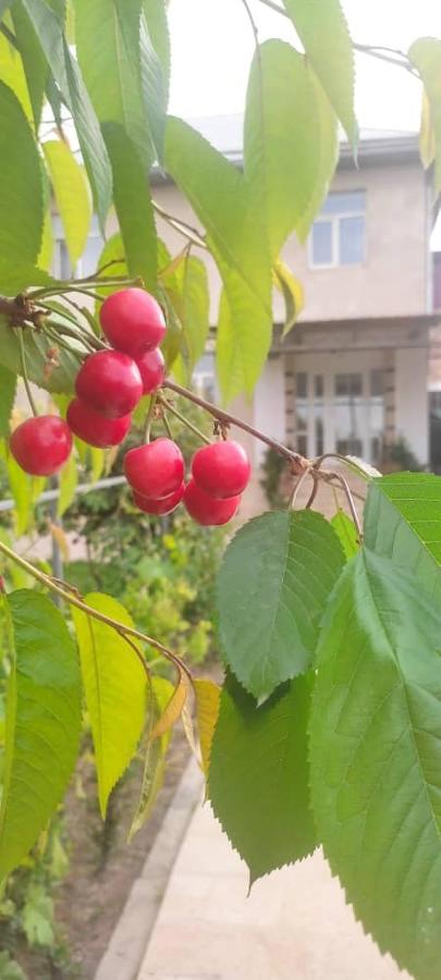 Abs Guest House 오쉬 외부 사진